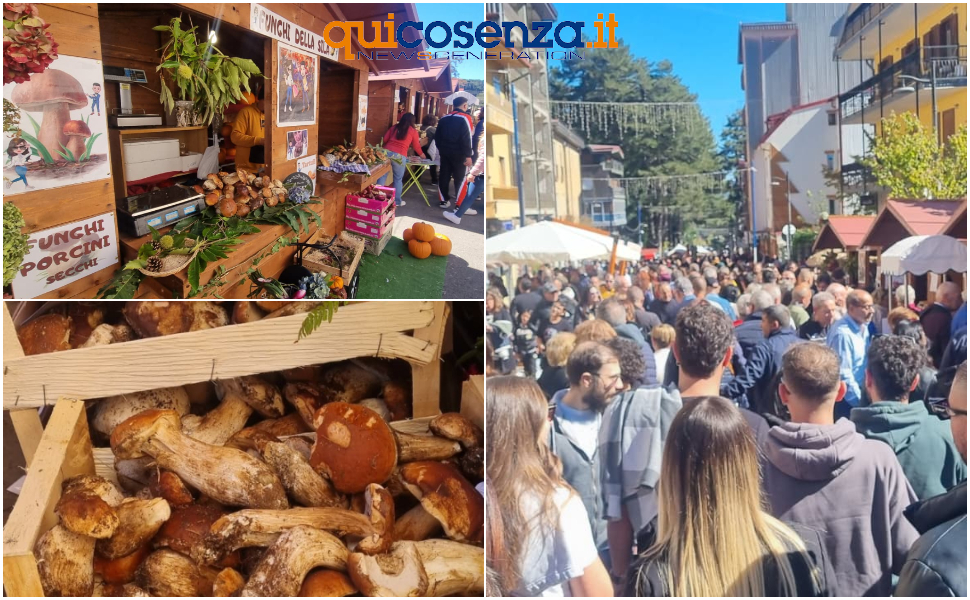 collage-sagra-del-fungo-sila