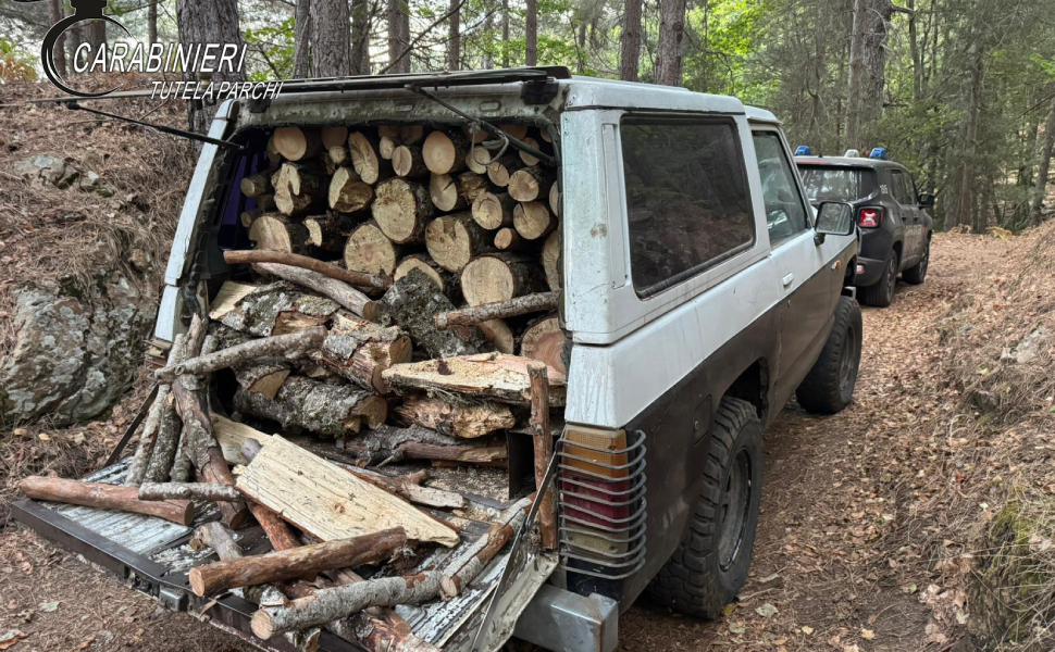 furto legna carabinieri parco 01