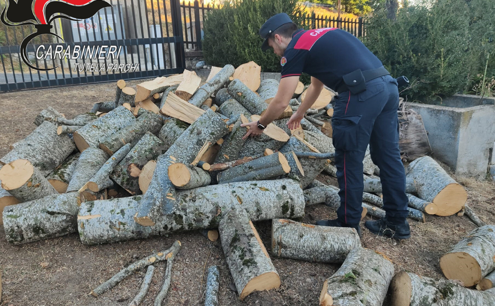 furto legna carabinieri parco 02