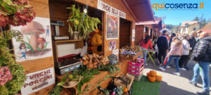 La Sila fa il pieno di turisti. Boom di presenze da tutto il sud per la Sagra del Fungo a Camigliatello Silano - FOTO 58 sagra del fungo 6
