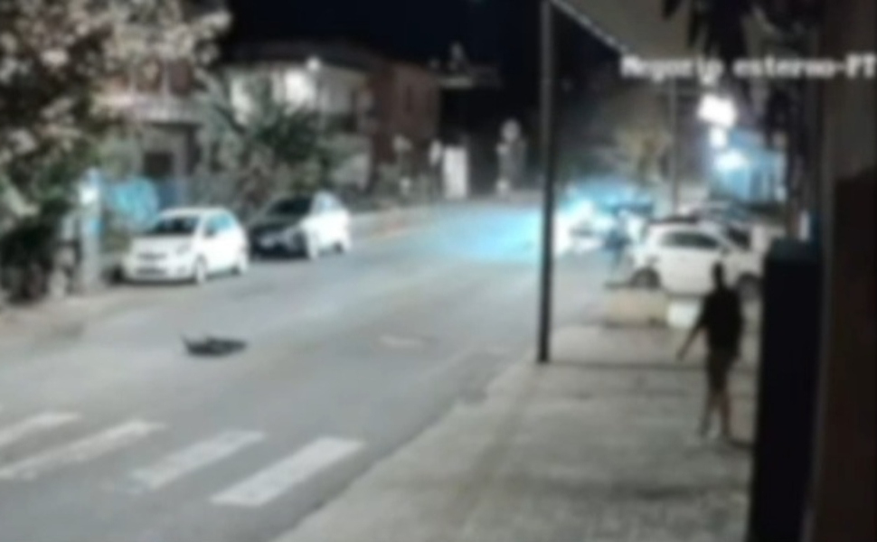 Violento incidente sulla Statale 18, in gravi condizioni due sorelle di 14 e 15 anni 51 telecamera incidente palmi ss 18