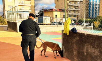 Batik unita cinofila carabinieri