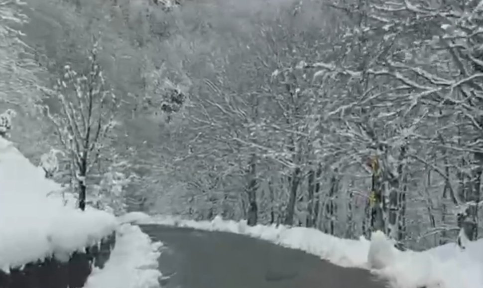 La provincia di Cosenza tra neve e ghiaccio, dalla Sila al Pollino: Anas al lavoro per la sicurezza stradale 51 Neve e ghiaccio