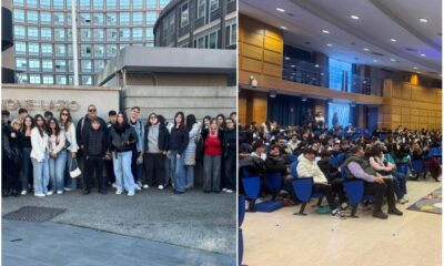 Incidenti stradali Udicom