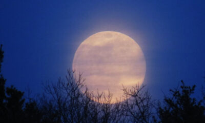 Superluna del castoro