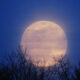 Superluna del castoro