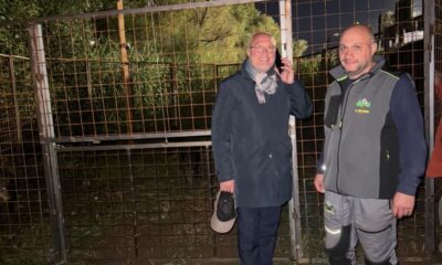 Zumpano cattura cinghiali