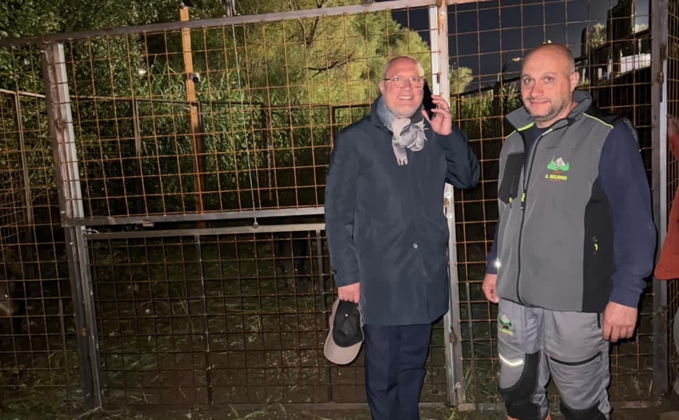 Zumpano cattura cinghiali