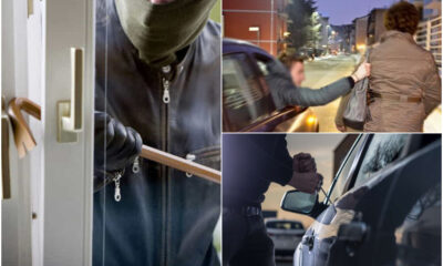 reati - furti scippi auto