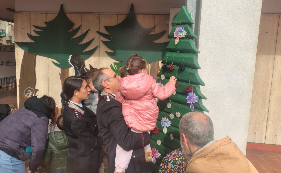 Albero della biodiversità Cosenza 