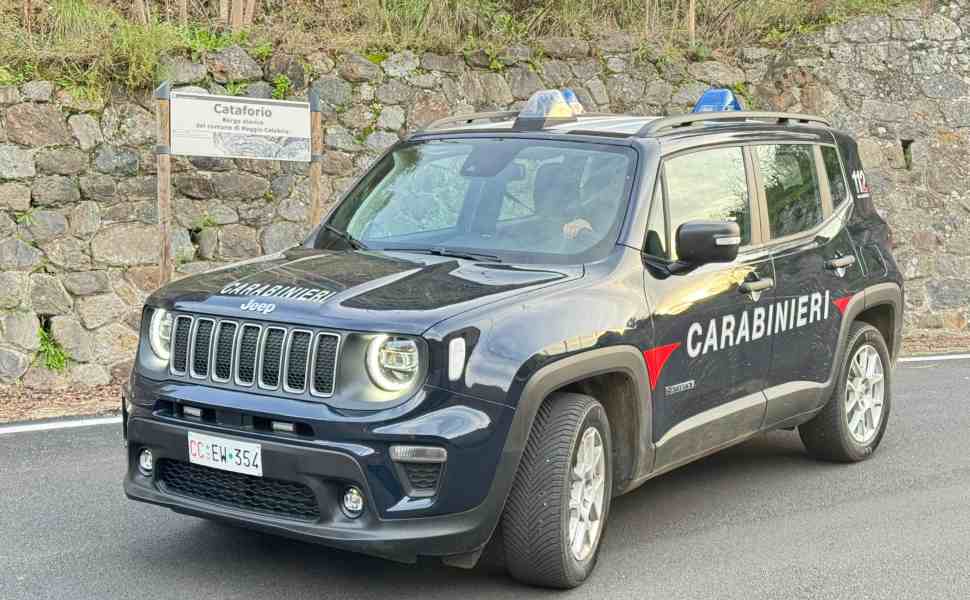 Tentano il furto in una villetta ma vengono sorpresi dai Carabinieri, arrestati 2 uomini 51 furto villetta