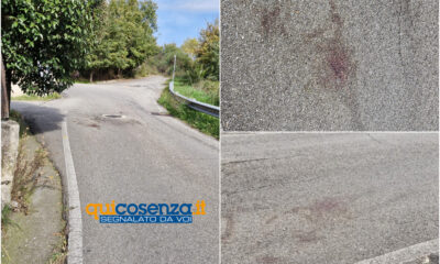 Castrolibero - la nebbia nel cuore