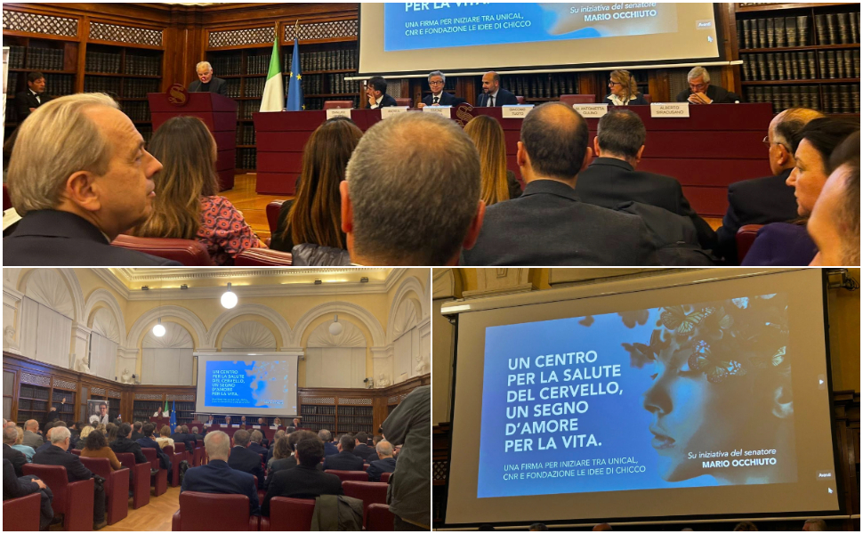 Chicco Mario occhiuto Centro salute cervello Senato