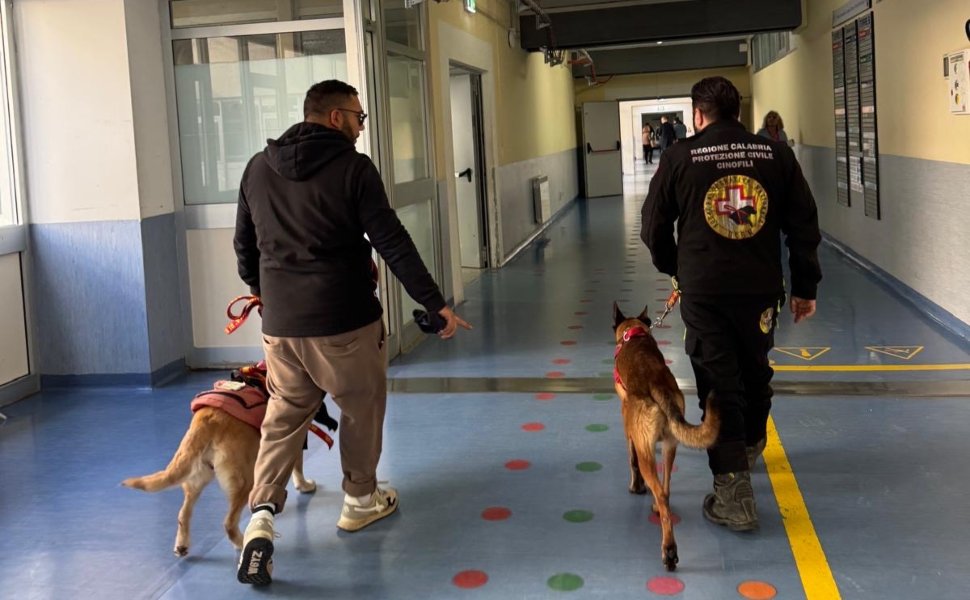 Pet therapy in vista del Natale: nel reparto di pediatria arrivano Mae, Lily e Butcher 53 Cinofili in pediatria