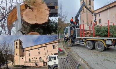 Cipressi secolari Arcavacata di Rende