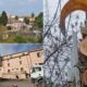 Cipressi secolari Arcavacata di Rende abbattuti