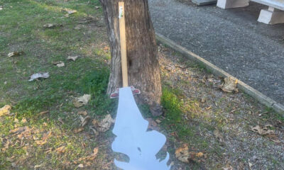 Fuscaldo atti vandalici parco 01