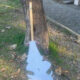 Fuscaldo atti vandalici parco 01