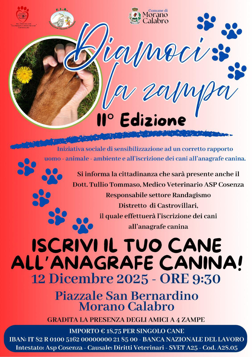 "Diamoci la zampa": a Morano Calabro l'iniziativa anti randagismo e per la tutela del benessere animale 52 Morano Calabro Iniziativa anagrafe canina