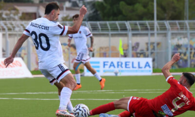 Mazzocchi Cosenza Calcio