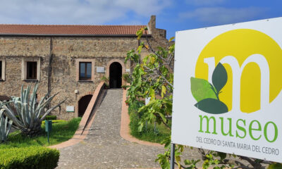 Museo del Cedro - Festa dei Popoli 01