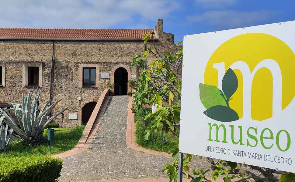 Museo del Cedro - Festa dei Popoli 01