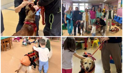 Pet therapy