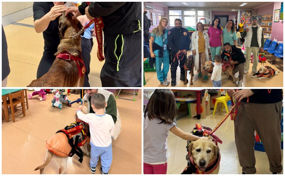 Pet therapy in vista del Natale: nel reparto di pediatria arrivano Mae, Lily e Butcher 51 Pet therapy
