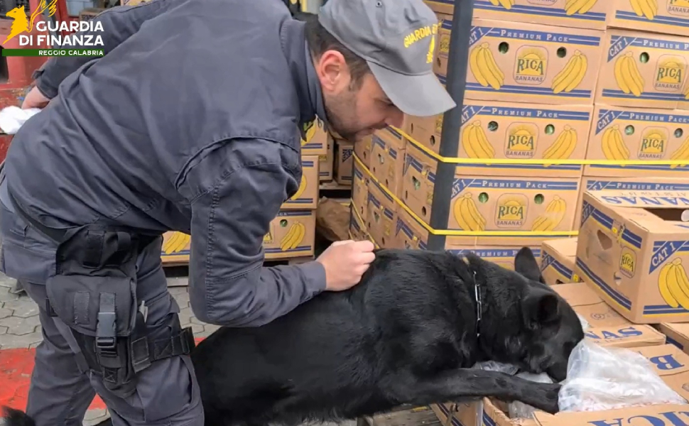 Proventi narcotraffico Eureka sequestro GdF 01