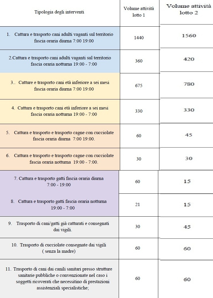 Cani randagi in tutta la provincia di Cosenza, deserta la gara per il servizio di cattura 52 Randagi servizio cattura provincia cosenza