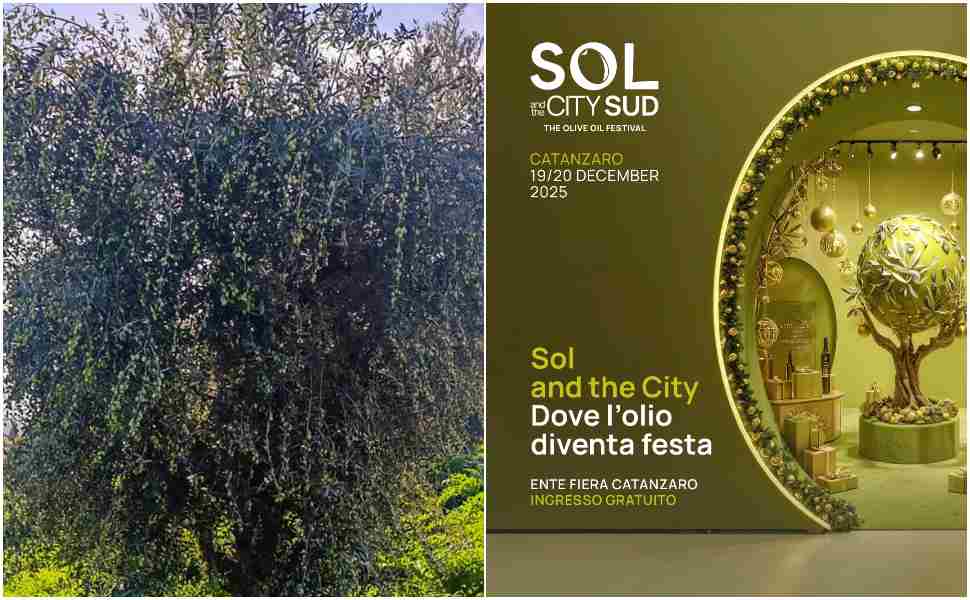 Sol and the City Sud 2025 Catanzaro