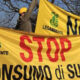 "Strada dei Bruzi", Legambiente Serre cosentine dice "No": «consumo di suolo e cementificazione» 74 Strada dei Bruzi - legambiente serre cosentine