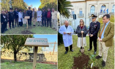 "Un albero per la salute"