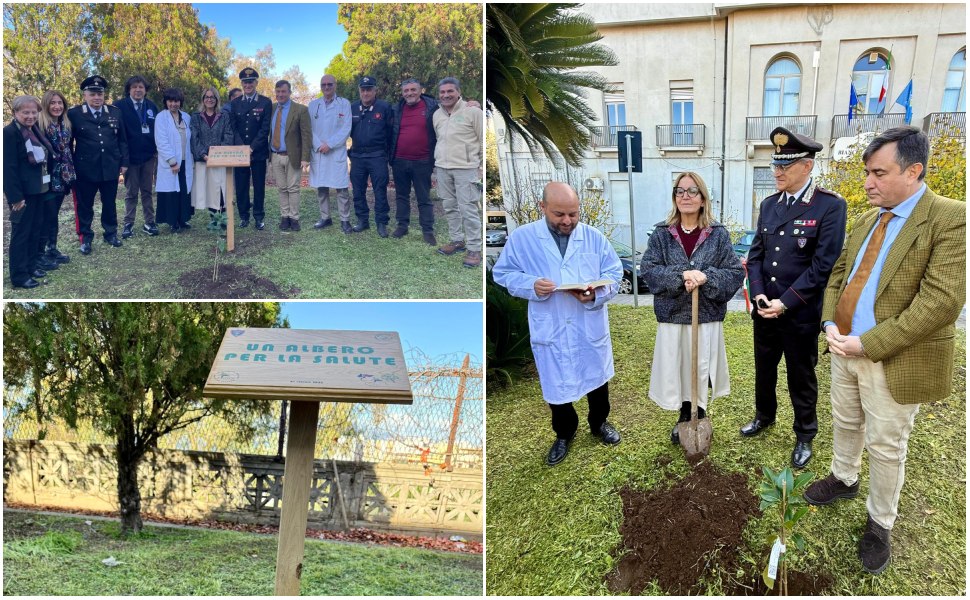 "Un albero per la salute"