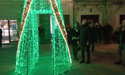 albero-natale_cosenza-padovano_caruso
