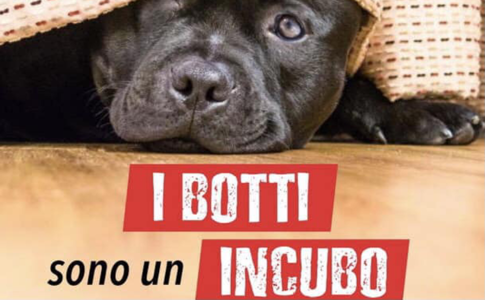 botti capodanno LEAL 01