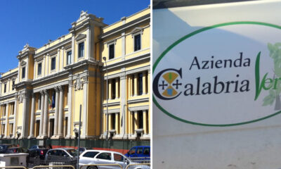 calabria verde corte appello catanzaro
