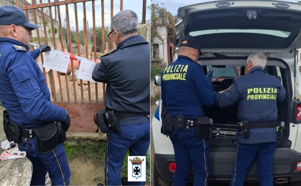 Sequestrati 7 cani e 60 gatti nel Cosentino: fango, deiezioni e carenze igienico-sanitarie. Una denuncia 52 cani gatti sequestro corigliano rossano 02