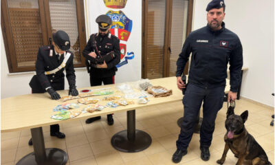 cocaina_arresto_gioia