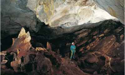 dna-antico_calabria