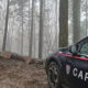 Furto di legname per un valore di 25mila euro, denunciato un imprenditore 74 furto di legname carabinieri forestali