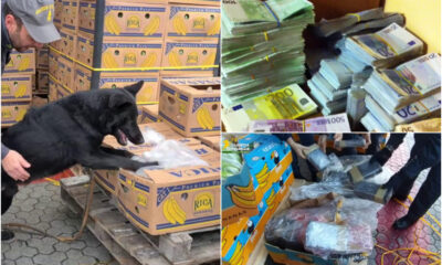 Proventi narcotraffico eureka guardia di finanza