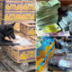 Proventi narcotraffico eureka guardia di finanza