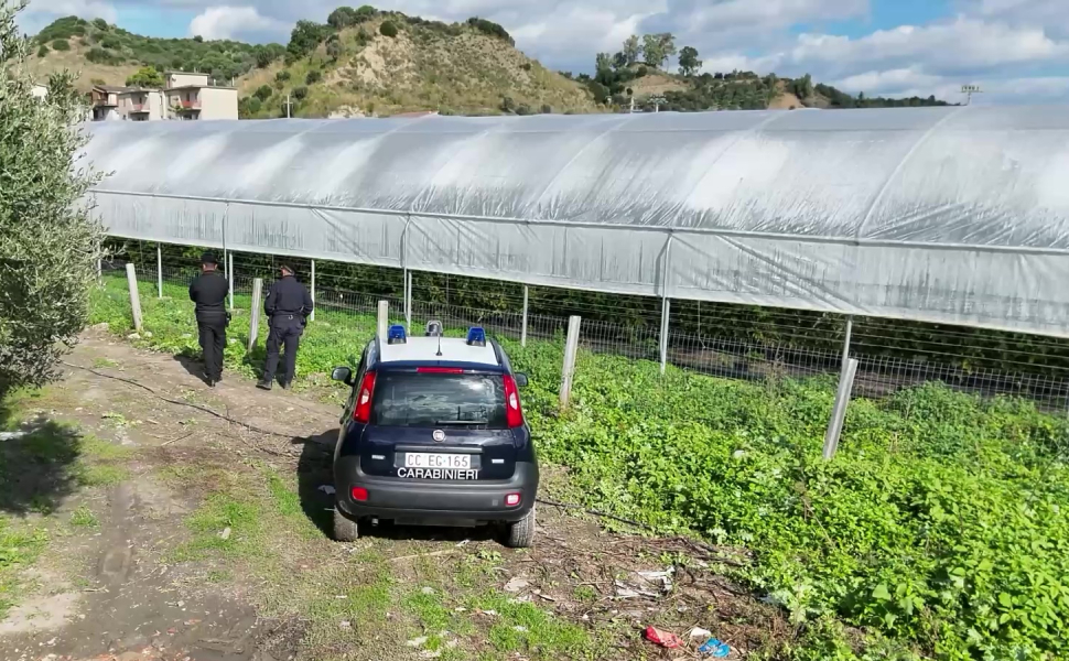 serre lamponi san luca carabinieri