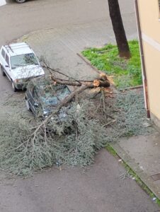 Giornata nera per Cosenza tra forte maltempo e crisi idrica: semaforo e alberi caduti in strada 55 614373439 1477458097272881 8113391487992761317 n