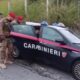 Arresto latitante Scornaienchi Cetraro 02
