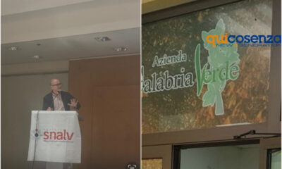 Calabria-verde_Snalv