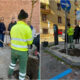 Cosenza_alberi_piantumazione