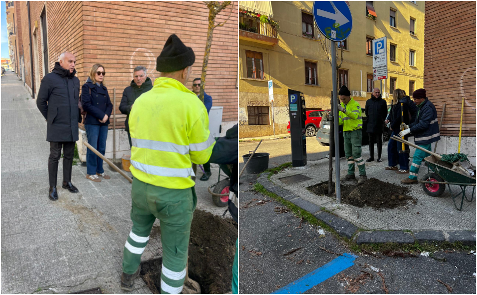 Cosenza_alberi_piantumazione