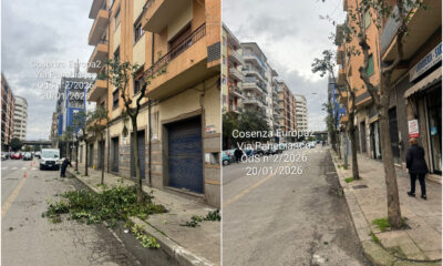 Cosenza_potatura_via-panebianco